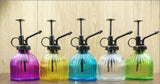 Glass Watering Spray Bottle, Plant Mister Watering Can, Glass Small Watering Can for Garden, Plants