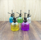 Glass Watering Spray Bottle, Plant Mister Watering Can, Glass Small Watering Can for Garden, Plants
