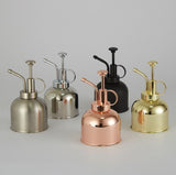 Stainless Steel Watering Can; Small Watering Can for Indoor Plants
