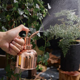 Stainless Steel Watering Can; Small Watering Can for Indoor Plants