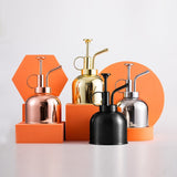 Stainless Steel Watering Can; Small Watering Can for Indoor Plants