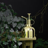 Stainless Steel Watering Can; Small Watering Can for Indoor Plants