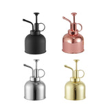 Stainless Steel Watering Can; Small Watering Can for Indoor Plants