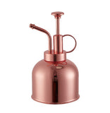 Stainless Steel Watering Can; Small Watering Can for Indoor Plants