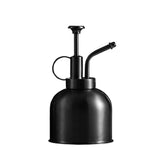 Stainless Steel Watering Can; Small Watering Can for Indoor Plants